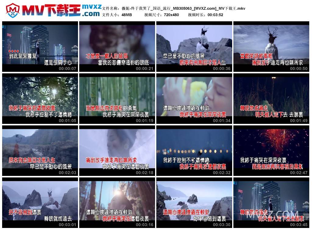 薇妮-终于我哭了_国语_流行_MB305063